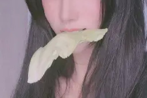 星华新材(301077)_最新价格_行情_走势图—东方财富网